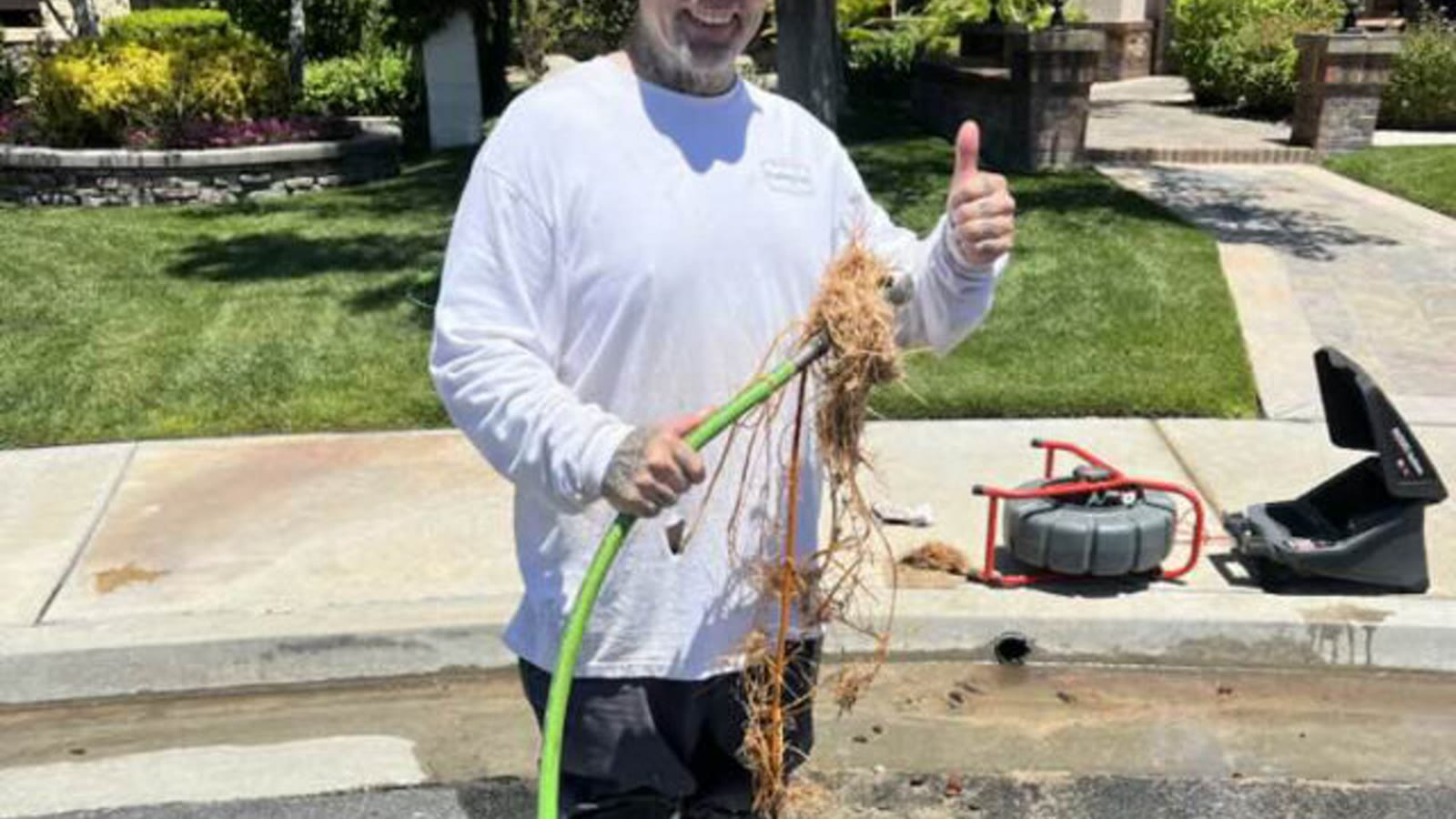 Tree roots pulled from a residential drain line during clearing service